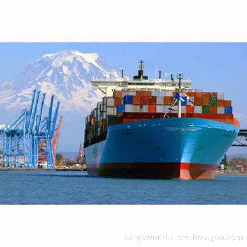 Ocean Freight From Shenzhen to USA with Fast Services